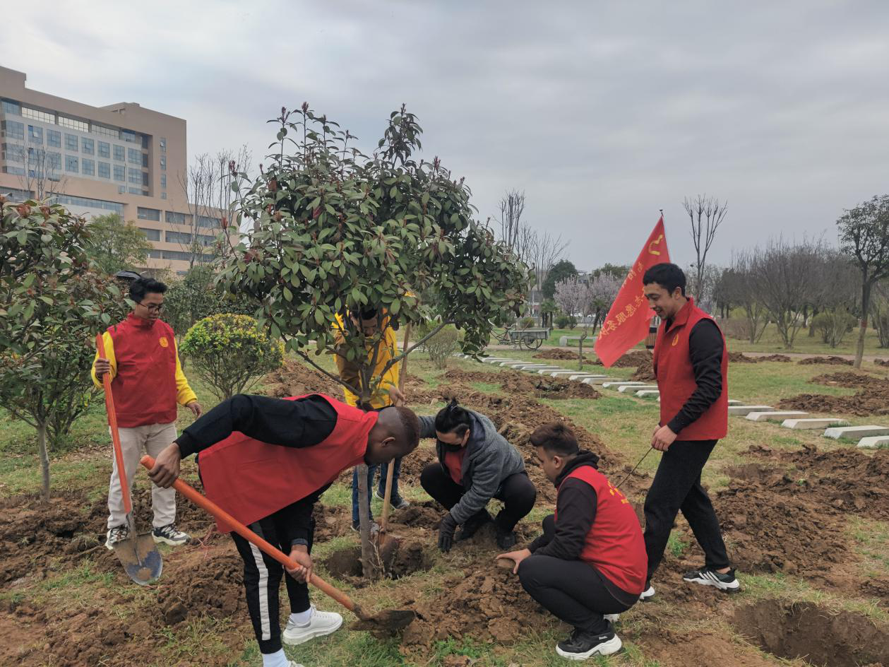 国际学生义务植树.png